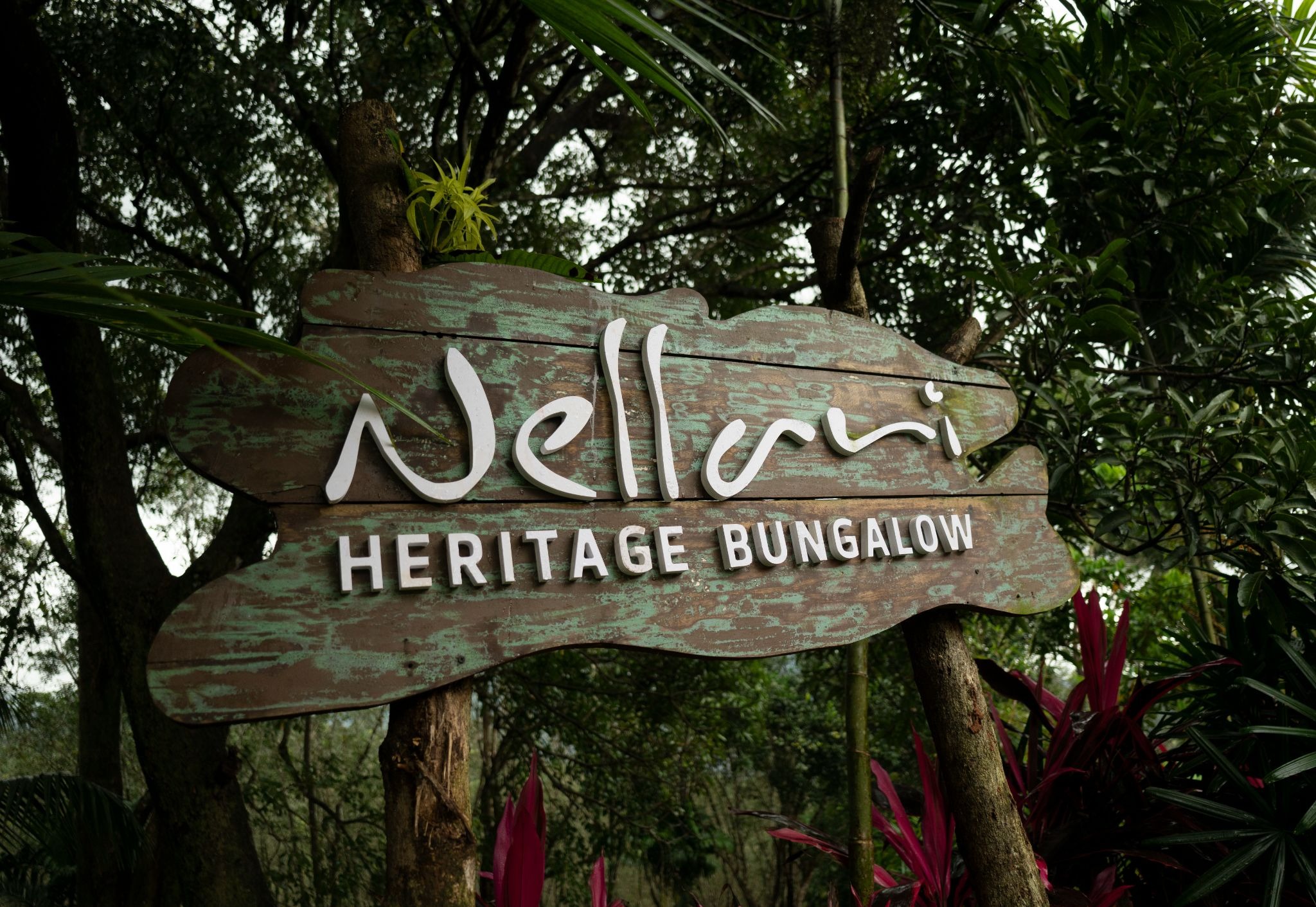 Nellari Story