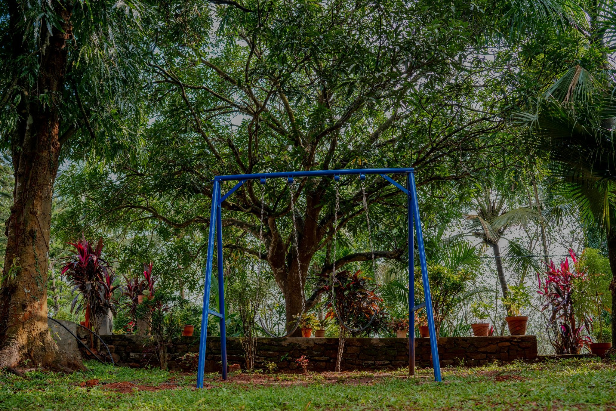 Nellari Green Valley